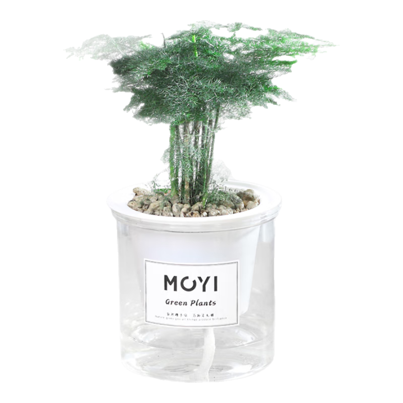 īһ�������� �辰ֲ������ˮ���簲���������칫����ֲ����