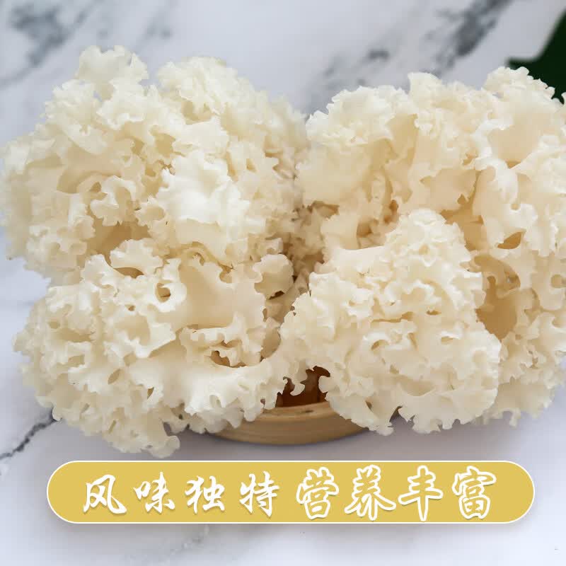 百年云松【天然坊】香格里拉新鲜绣球菌 云南珍贵菌菇 火锅、家宴美食 1000克