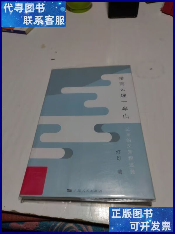 带雨云埋一半山:记我的父亲程述尧 上海人民出版社二手书