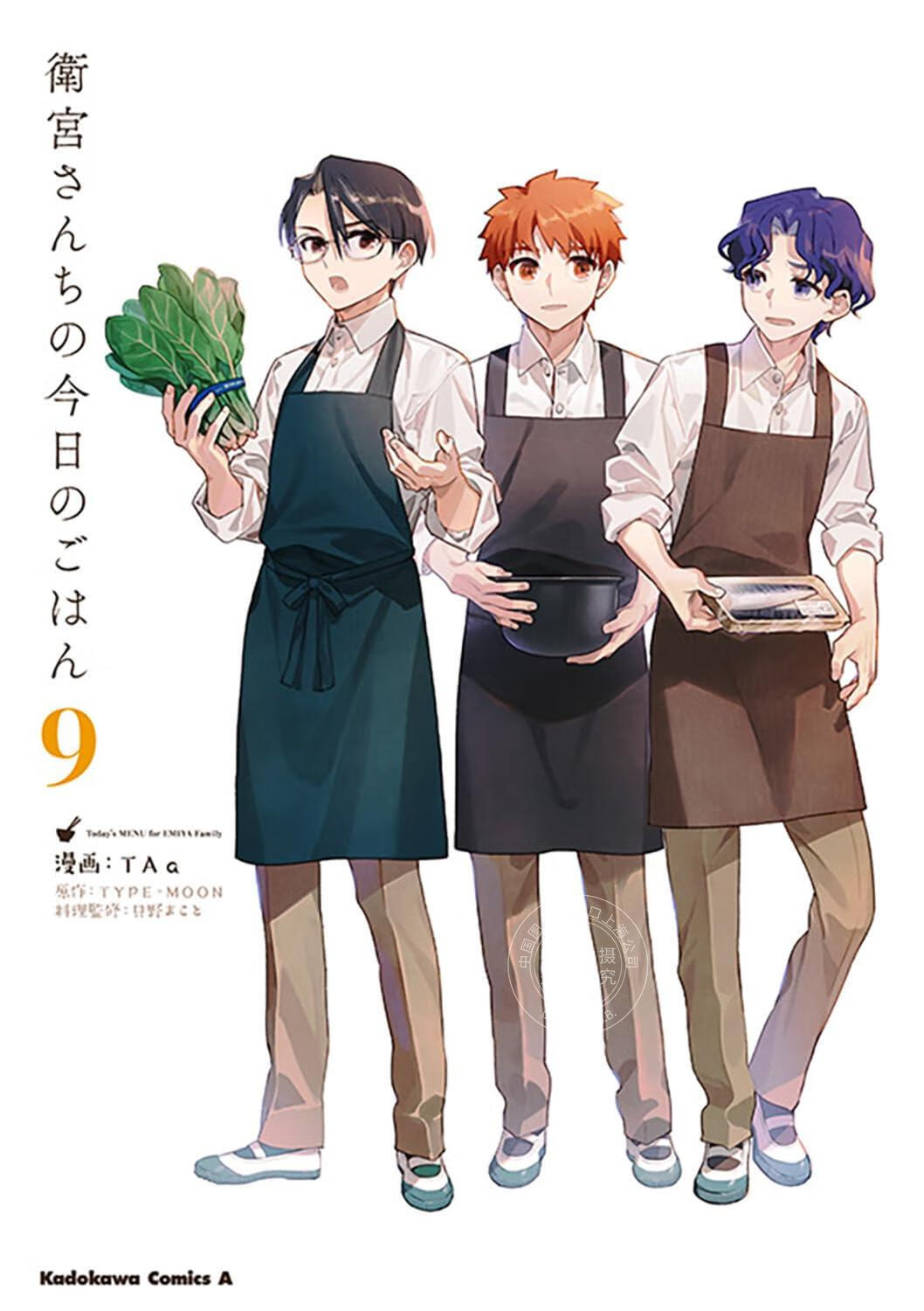 现货 进口日文 漫画 卫宫家今天的饭 衛宮さんちの今日のごはん 9