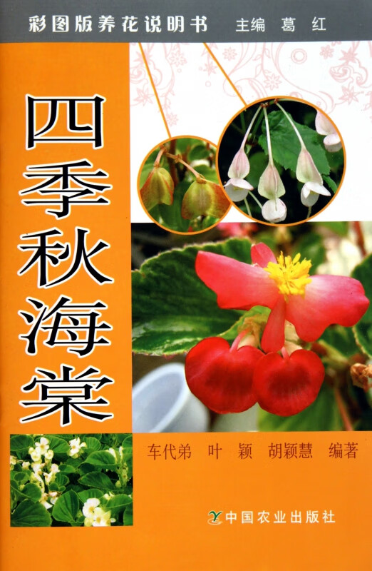 四季秋海棠/彩图版养花说明书