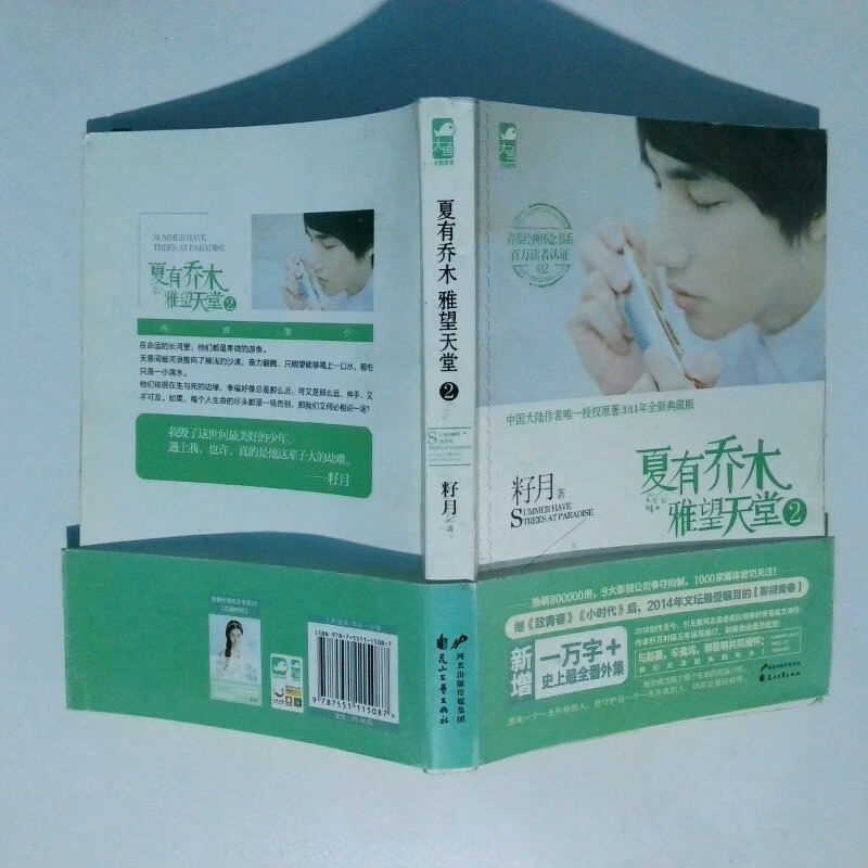 【绝版旧书】夏有乔木:雅望天堂2 花山文艺出版社