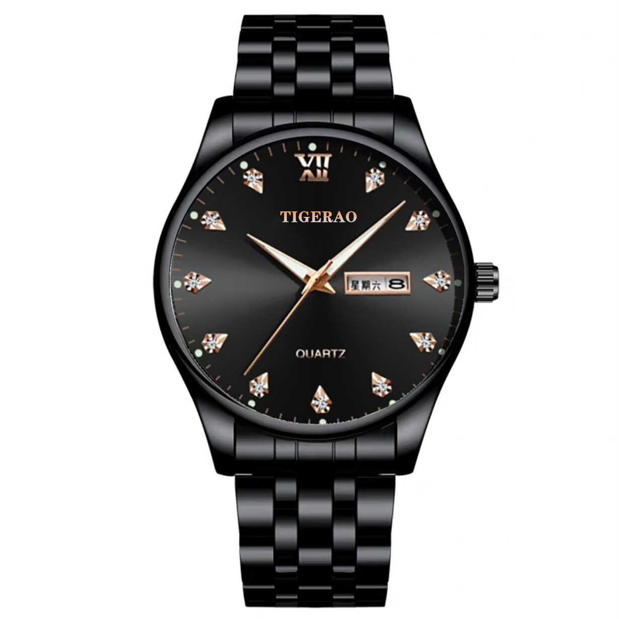 特雷格  tigerao新款时尚男士手表品牌休闲双日历机械夜光潮流商务