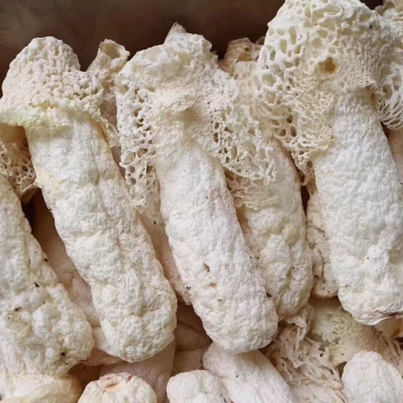 食怀贵州红托织金竹荪干货食用菌礼品盒滋补土特产菌特级煲汤净重 红