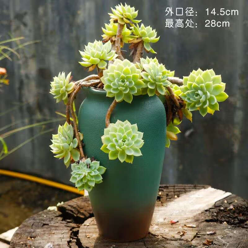 满柚春多款大老桩小老桩 陶瓷多肉花盆 粗陶老桩盆 大口径 老桩盆