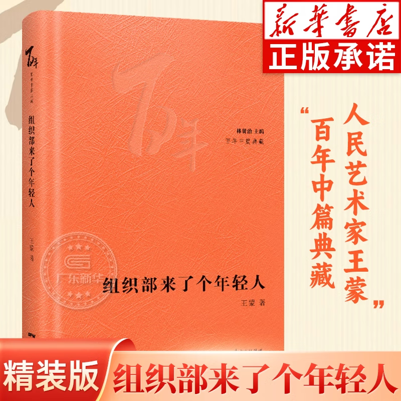组织部来了个年轻人 王蒙著 林贤治主编小说 百年中篇典藏经典小说集