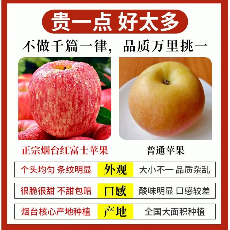 【精选】红富士9斤苹果水果新鲜整箱5斤3斤应当季冰糖心 3斤大果