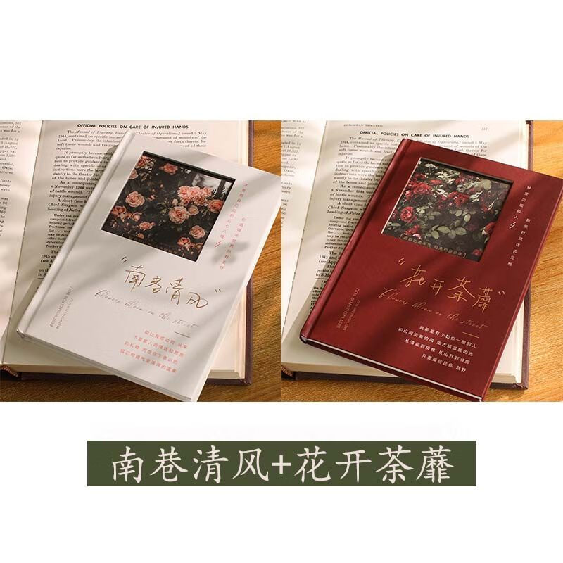 横线记事本笔记本厚本本子高颜值手账本 花开荼蘼 南巷清风丨2本装