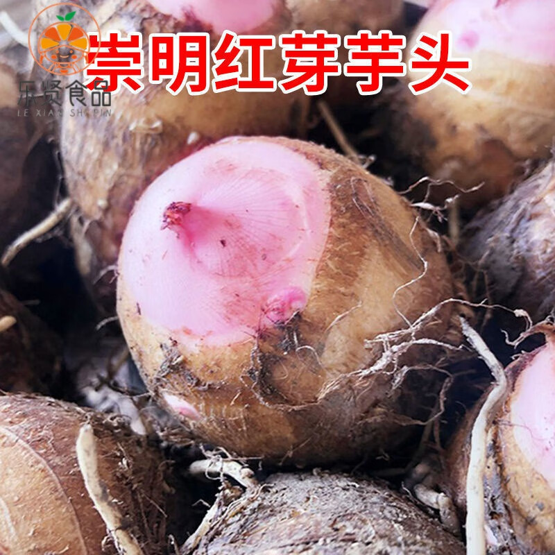盘中玉当季上海崇明特产芋艿新鲜大个食用香芋崇明香酥芋艿农家菜 5斤