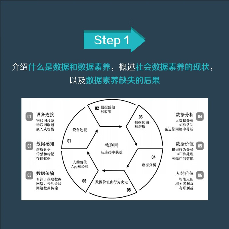 数据素养（异步图书出品）详情图