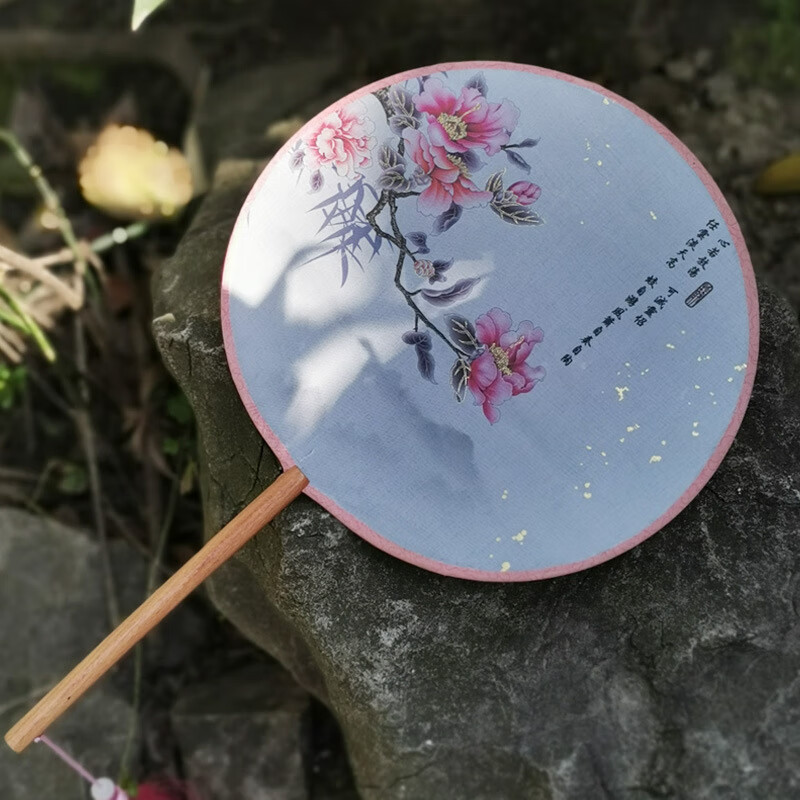 古风团扇汉服古风扇子团扇团扇女汉服掌扇小团扇古风宫扇 遗世独立