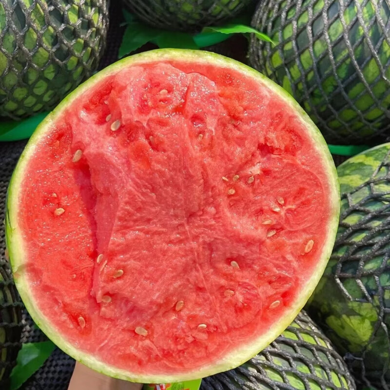 果农侠云南麒麟西瓜8424当季新鲜水果大西瓜薄皮麒麟瓜 精选好果 5斤