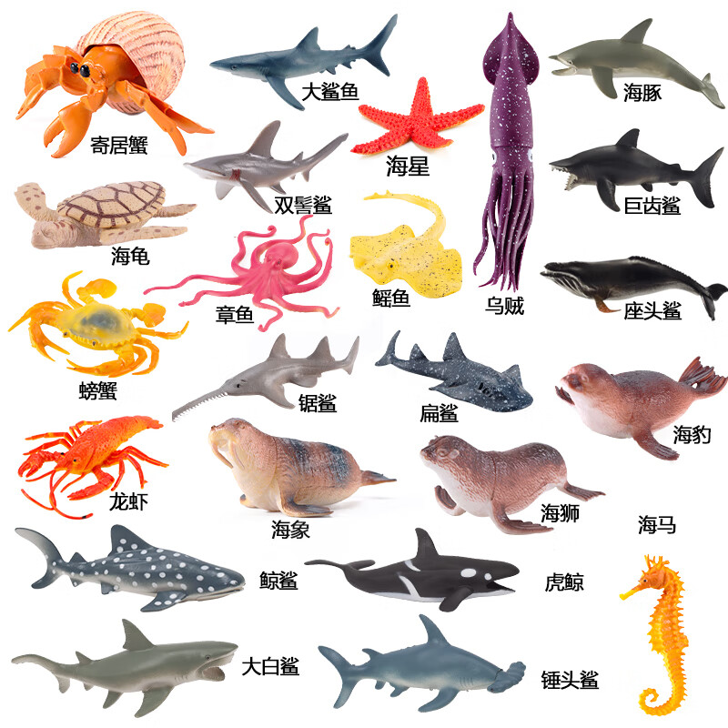 云漫卿仿真海洋动物 科教海洋生物3岁儿童认知4玩具5仿真6动物7模型8