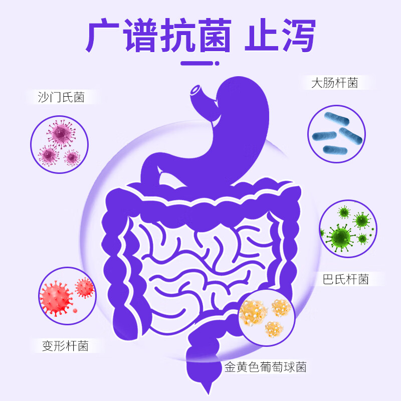 狗狗猫咪用宠物拉肚子腹泻止泻消炎胃肠炎药犬猫拉稀呕吐药便血药 拉稀呕吐套餐（硫酸新霉素片+西咪替丁片）