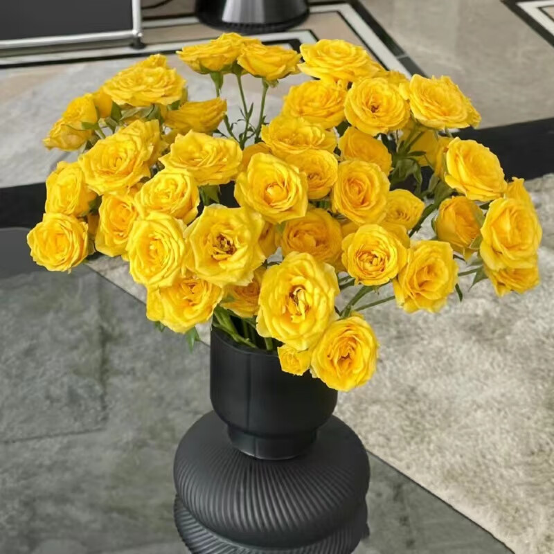 【顺丰冷链】多头泡泡玫瑰云南鲜花昆明基地直发七夕送女友爱人 梦幻