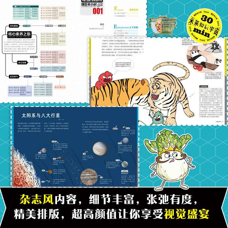 课后半小时：中国儿童核心素养培养计划【实践应用篇】（套装全15册）详情图