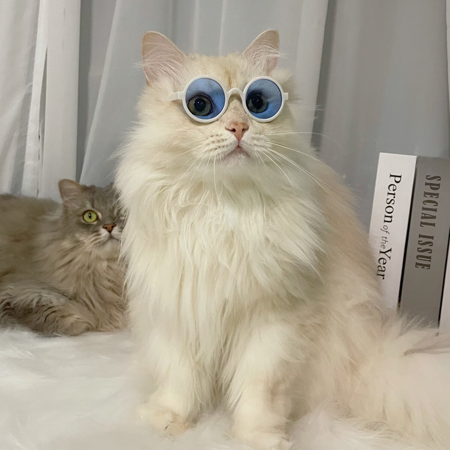 ����ȯ������̫����ī����1��װ��