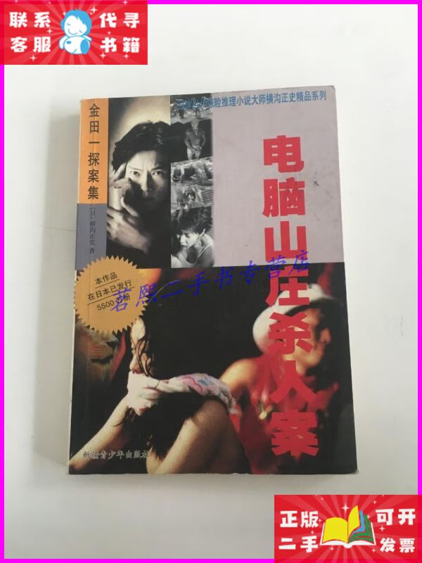 电脑山庄杀人案 新疆青少年出版社二手书