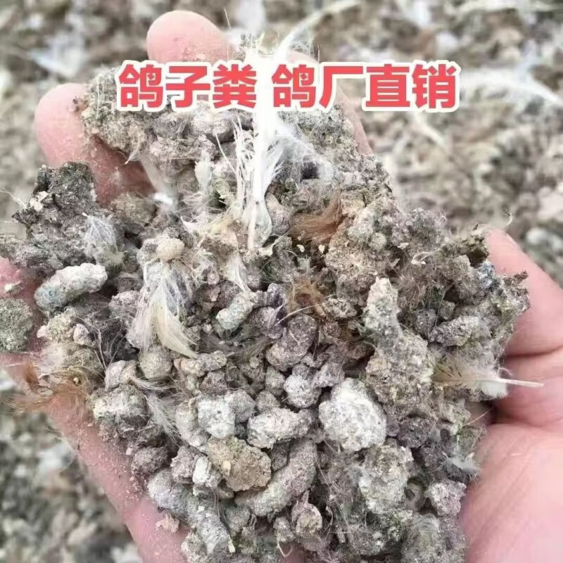 醉春木有机农家肥干鸽子粪天然发酵养花肥料鸽子屎鸟粪种菜种花绿植