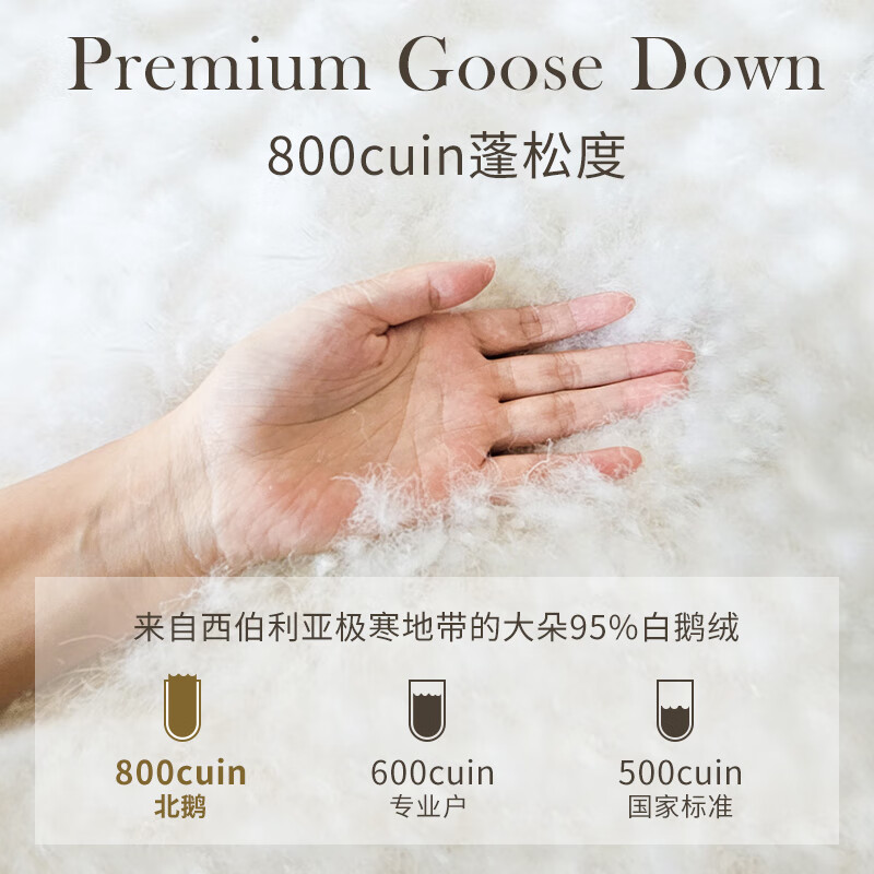 北鹅德国OBB鹅绒被95%白鹅绒被子冬被羽绒被芯冬季厚被子双人被羽绒被 220*240cm 适合1.8/2米双人床 莫奈.睡莲-西伯利亚鹅绒冬被