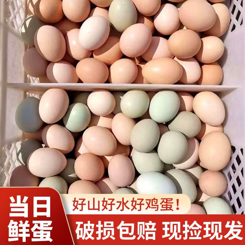 鲜蛋正宗农家散养土鸡蛋新鲜绿壳乌鸡蛋混合装儿童孕妇营养蛋整箱批发 正宗土鸡蛋40枚