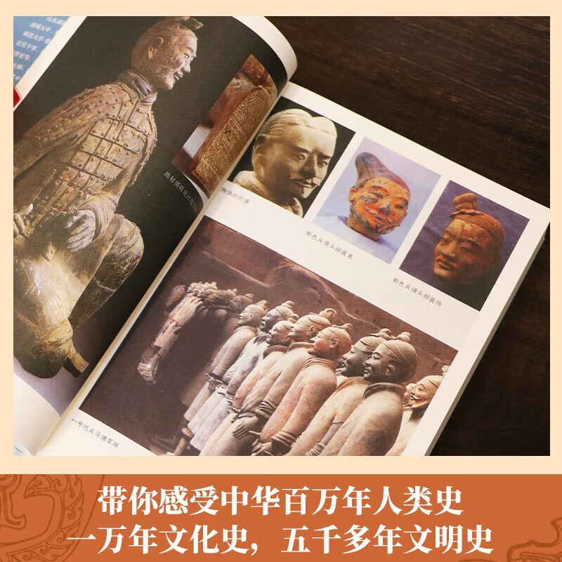 【赠洛阳铲模型+冰箱贴+金属书签】考古中国全11册盒装 岳南著 俞敏洪推荐考古史诗巨著 中国历史考古书籍 博集天卷旗舰店 考古中国(全11册)