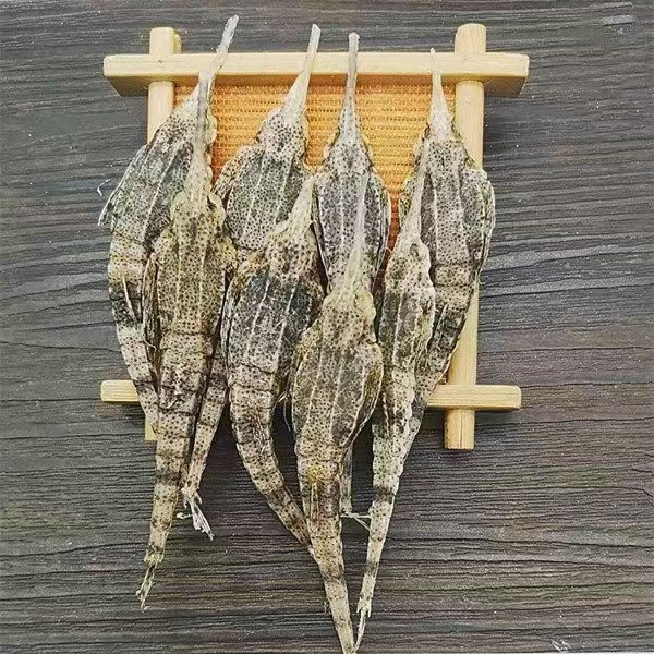 本港海麻雀干货煲汤材料鱼干海燕子汤包新鲜泡酒海产海味海底麻雀