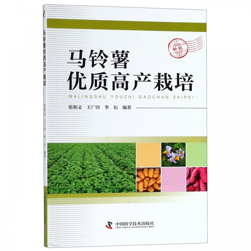 马铃薯优质高产栽培