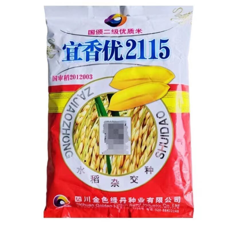 四川谷种宜香优2115水稻长粒香米口感好米质优杂交水稻种籽 宜香优