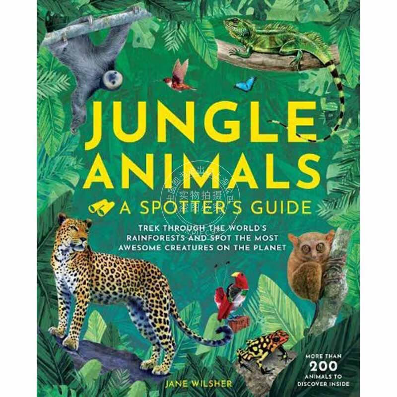 现货 丛林动物: 观察者指南 英文原版 jungle animals