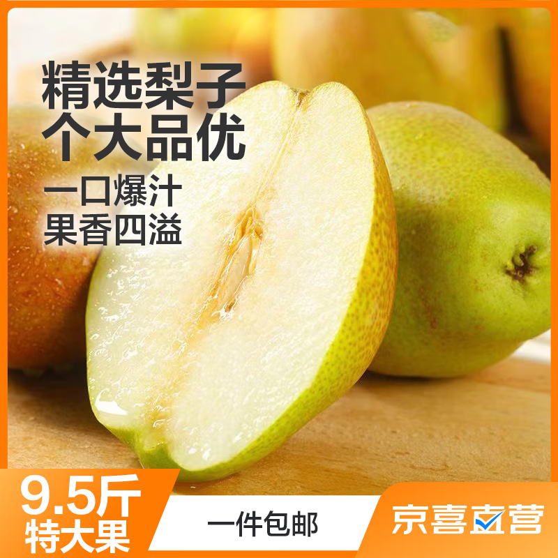 华北强 山西红香酥梨带箱9.5斤特大果 彩箱礼盒 新鲜水果