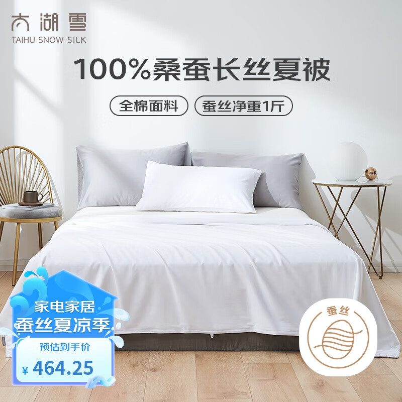 太湖雪蚕丝被 100%桑蚕长丝 纯棉夏凉被 蚕丝净重1斤 220*240cm 白色