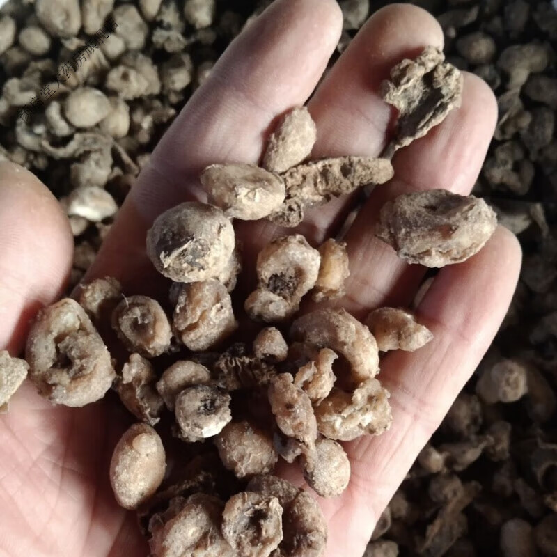 山慈菇中药材云南野l生山慈姑 山慈菇250克