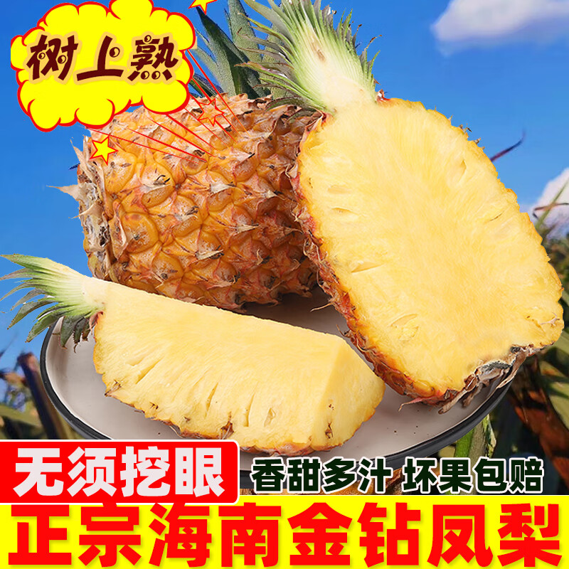 鲜友季海南金钻凤梨新鲜当季水果手撕菠萝 4.5-5斤(单果1.3-1.8斤)