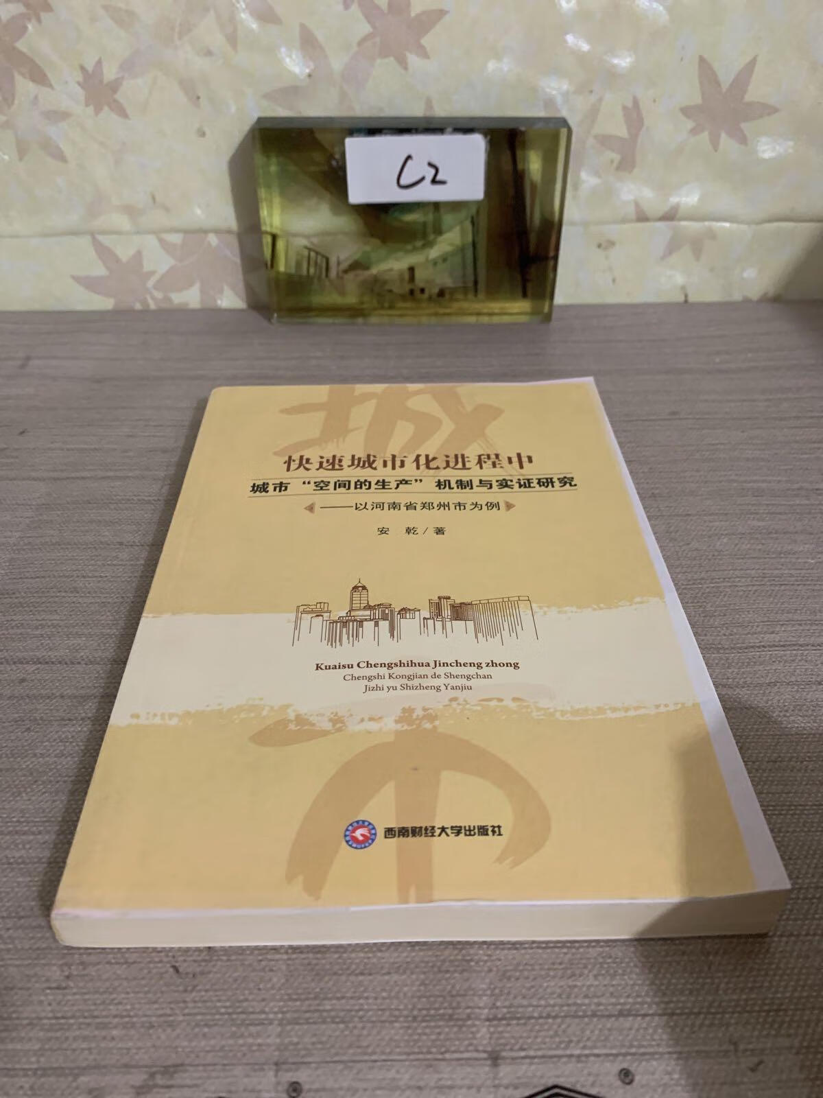[二手9成新] 快速城市化进程中城市"空间的生产"机制与实证研究