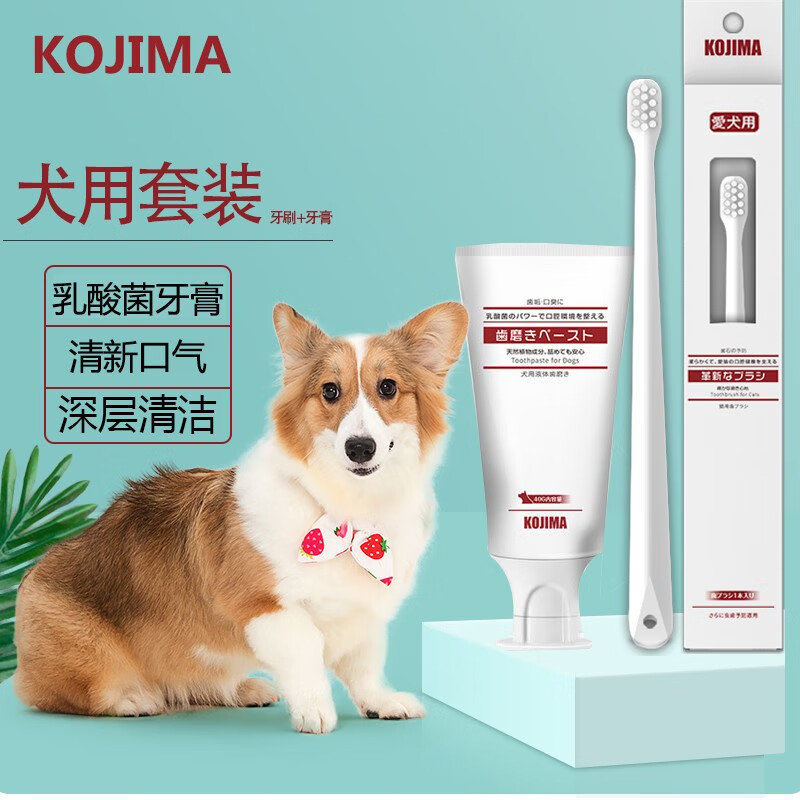 日本kojima 狗狗牙刷牙膏套装犬用牙齿清洁去牙渍 宠物口腔清洁除臭犬用套装 犬专用牙刷+牙膏