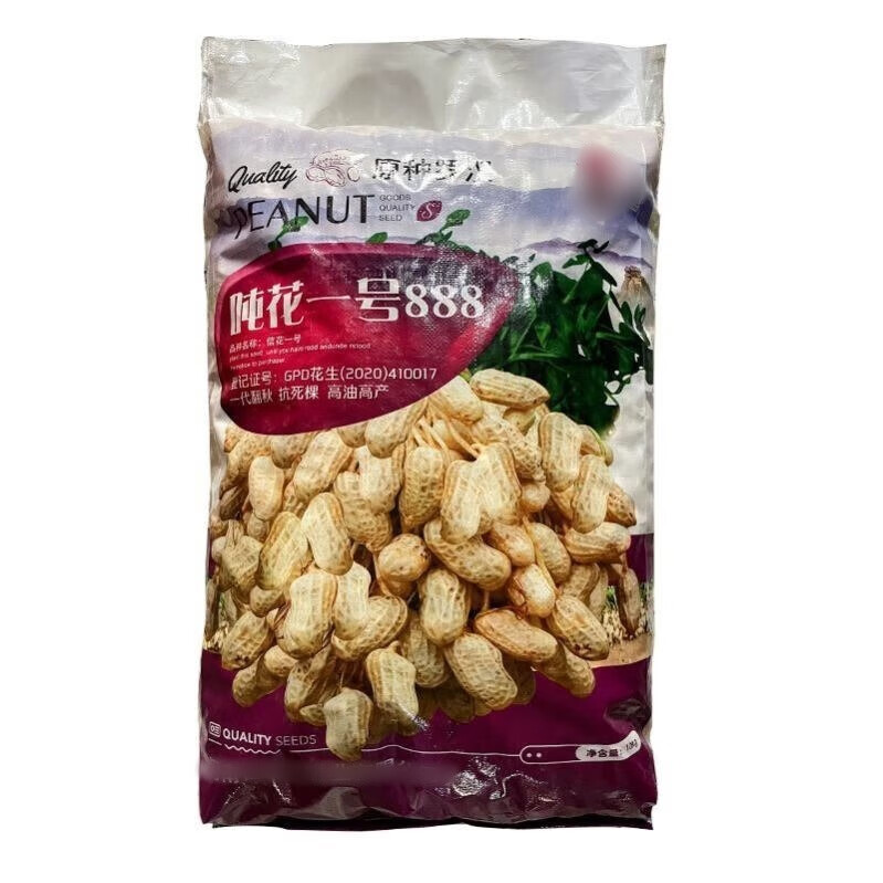 以琛原种罗汉吨花一号高产花生种子航天育种带壳抗旱耐涝出油王价 原