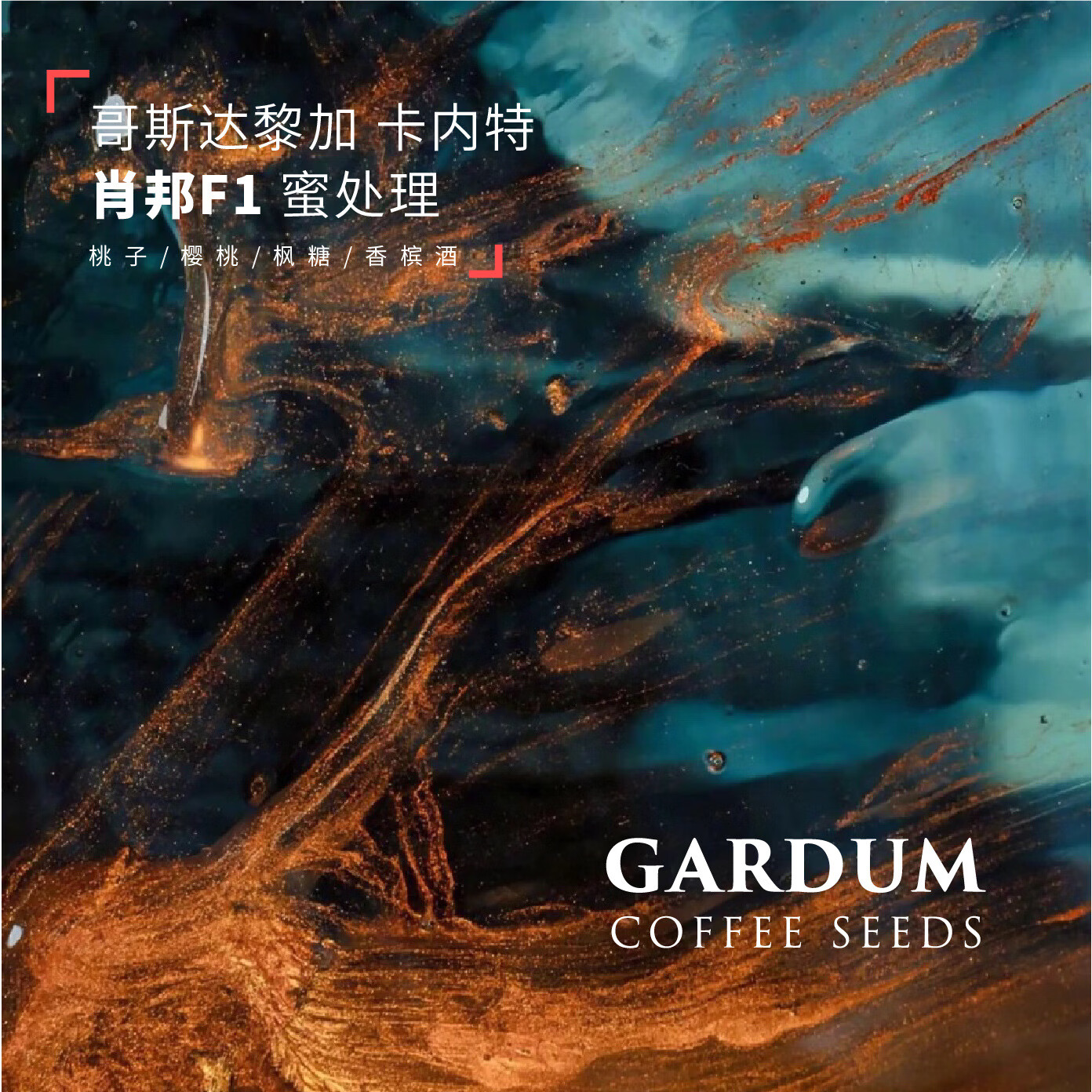 哥斯达黎加卡内特肖邦f1咖啡豆手冲单品咖啡豆新鲜现烘焙咖啡粉 肖邦