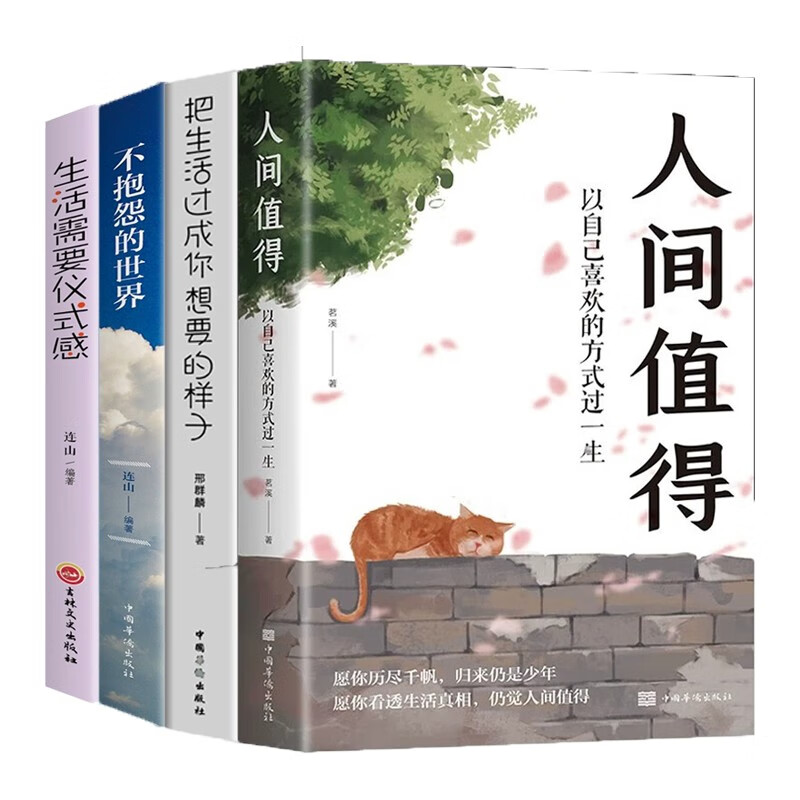 全4册把生活过成你想要的样子人间值得仪式感不抱怨人生青春文学小说成功励志学书籍畅销书排行榜