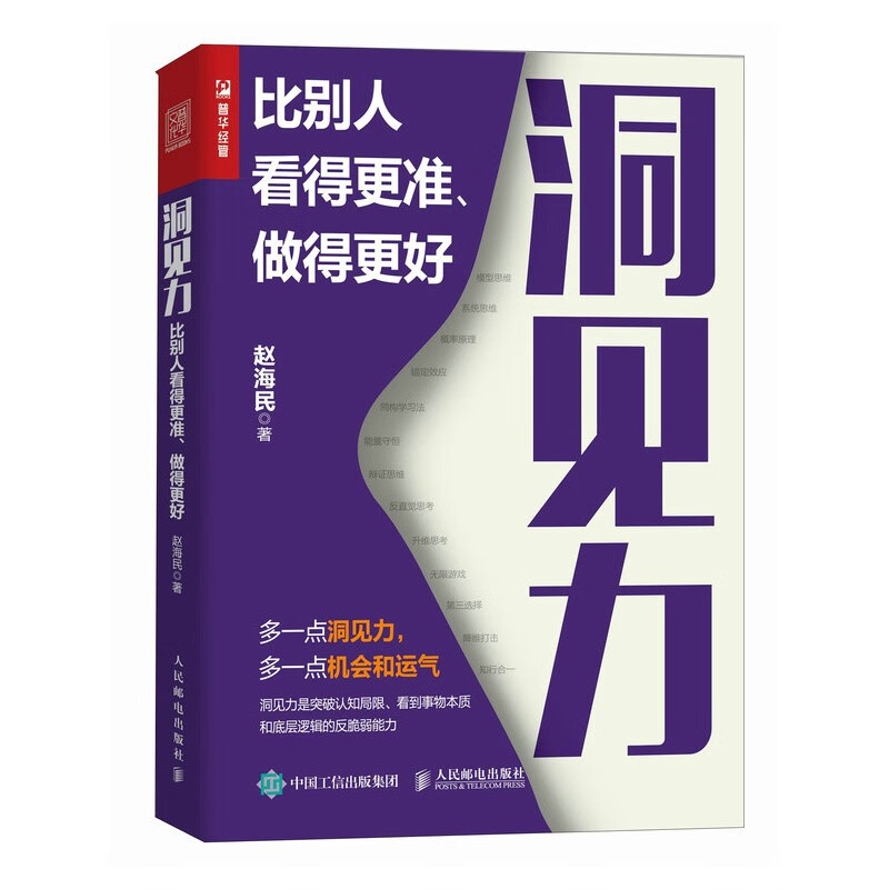 洞见力：比别人看得更准、做得更好（人邮普华出品）详情图