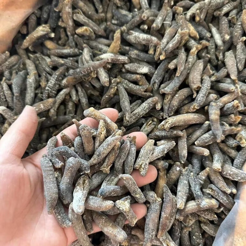 i澳洲斐济明秃参淡干海参纯淡干海参干货年货礼盒非洲明秃参送礼 非洲