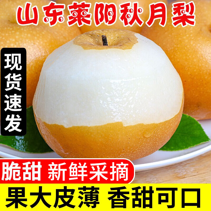 山东莱阳秋月梨 当季新鲜水果冰糖梨脆甜多汁梨子 4.5-4.8斤（4-8枚）