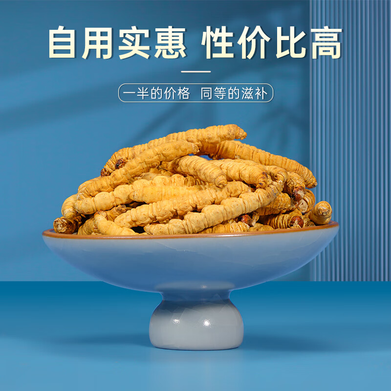 藏汐堂 冬虫夏草 新干头期纯肉节虫草 实惠家庭滋补品 大号纯肉节 20g*1盒 【送1克】