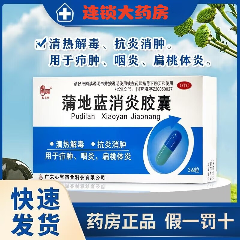 星辰牌 蒲地蓝消炎胶囊0.