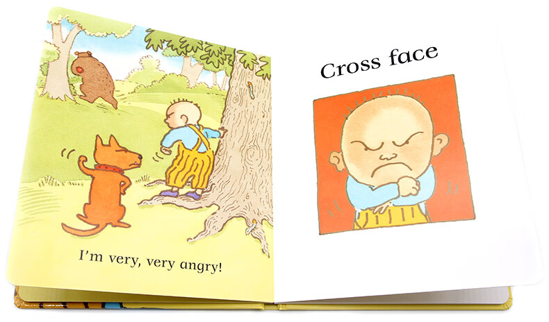 funny face 儿童情绪表达和管理绘本 看看有趣的表情包 进口英文原版