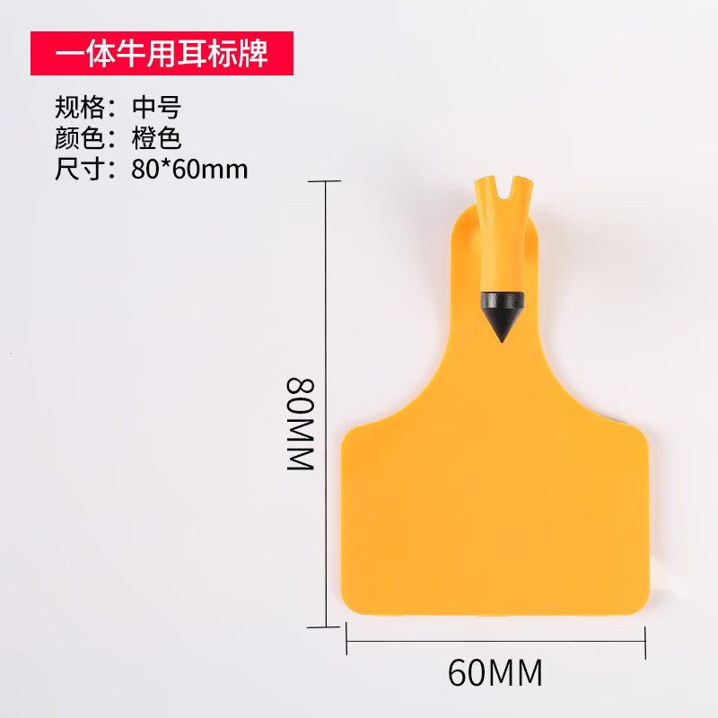 标 耳标牌单片式 牛识别牌 大号连身奶牛耳牌定制 中号空白(橙色50个)
