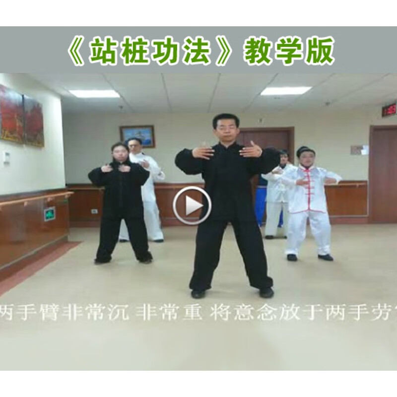 养生/站桩功法教学视频dvd光盘道家无极桩/混元桩/浑圆桩/马步桩 dvd