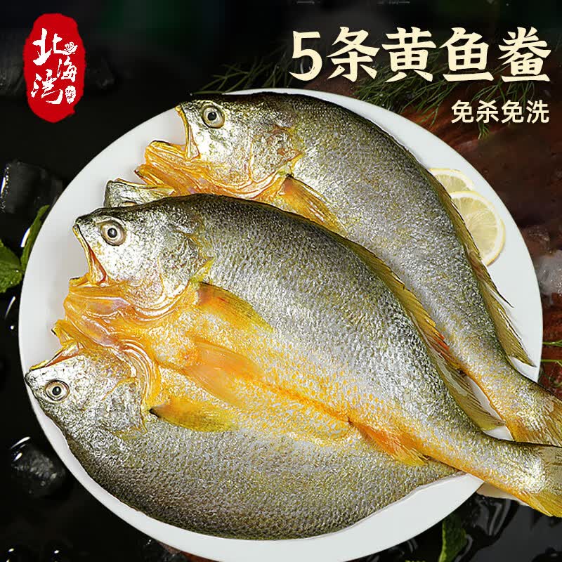 北海湾黄鱼鲞 新鲜冷冻大黄鱼开背黄花鱼三去特大海鲜生鲜鱼类深海鱼5