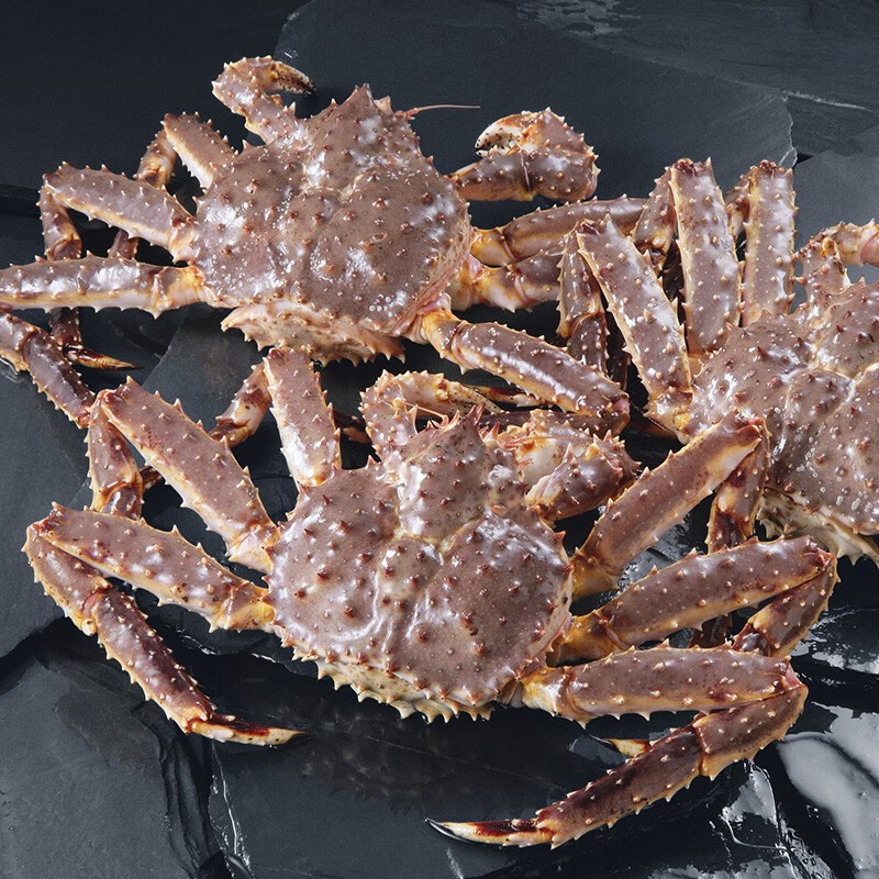 蟹九门鲜活帝王蟹生猛俄罗斯阿拉斯加长脚蟹海鲜年货送礼 3-3.4斤/只