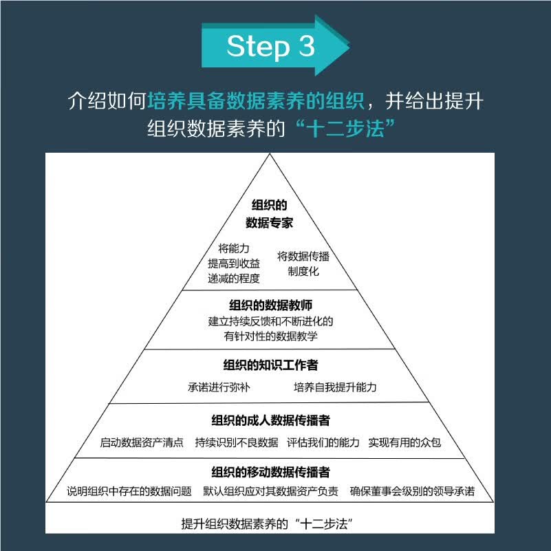 数据素养（异步图书出品）详情图